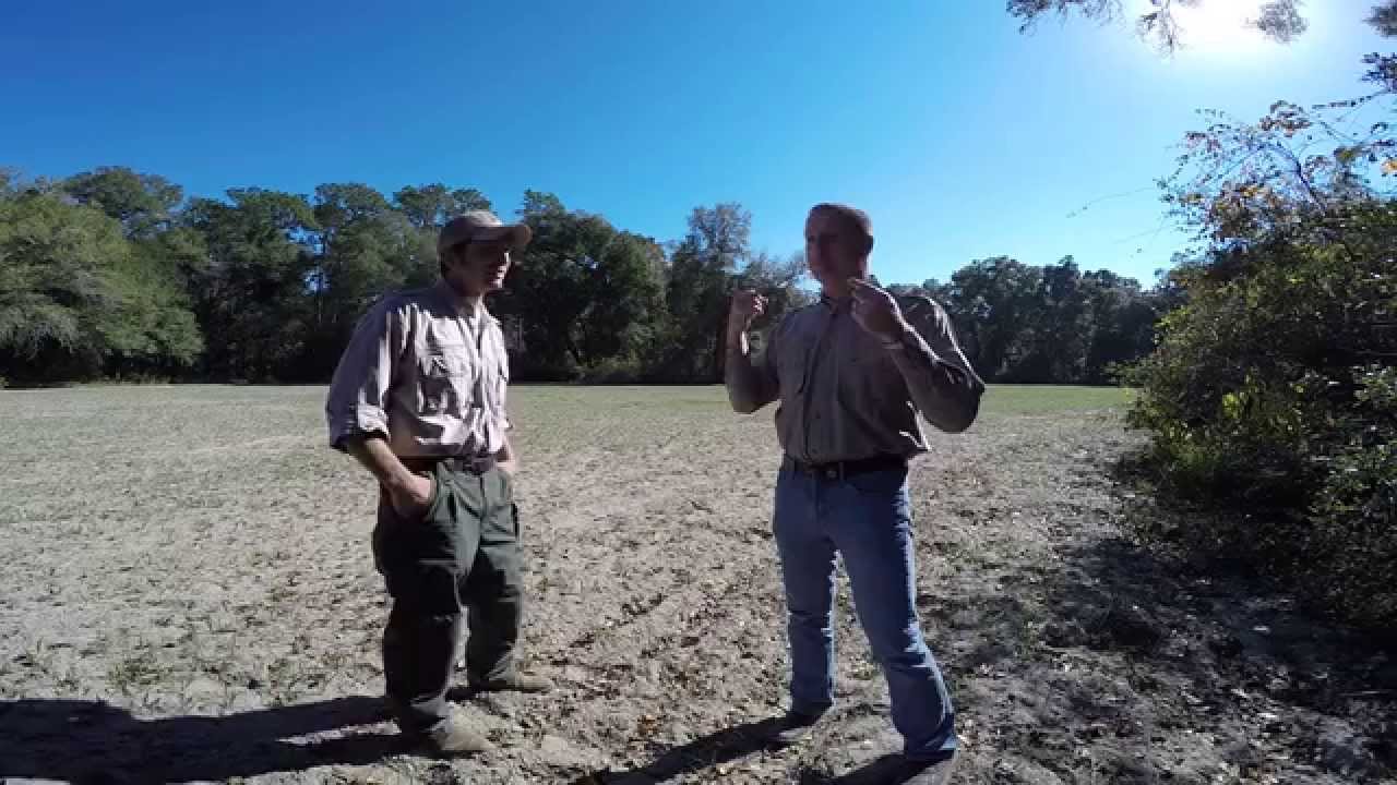 Florida's WMAs and what FWC does to manage the habitat and wildlife