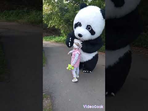 Панда🐼🐼🐼 Пончик с большим удовольствием поздравил Софию с Днём знаний!!! 😍🥰😘