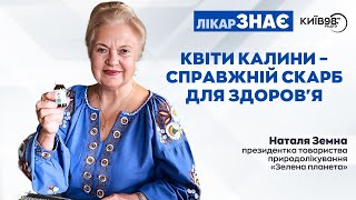 НАТАЛЯ ЗЕМНА: Квіти калини – справжній скарб для здоров'я | ЛІКАР ЗНАЄ