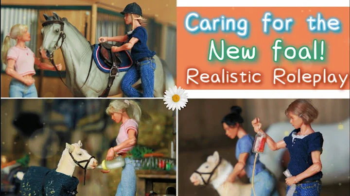 Caring for the Newborn Foal & Urgent Vet Visits......