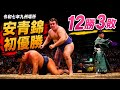 安青錦 初優勝！令和七年九州場所｜12勝3敗・幕内優勝
