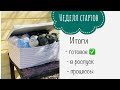 Неделя стартов . Итоги. #неделя_стартов_апрель2021