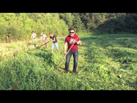 Ionica Ardeleanu - Dragu-mi sa merg la coasa !!!