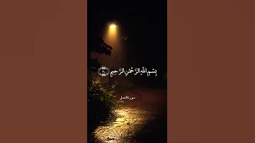 إ ن ه م ن س ل ي م ان سورة النمل محمد صديق المنشاوي 