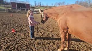 ruby offenberger class 15 small fry sms jan 28