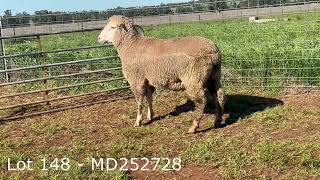 Lot 148   MD252728