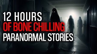Haunted Journey 12 Hours of Bone Chilling Ghost Stories and Unsolved Enigmas