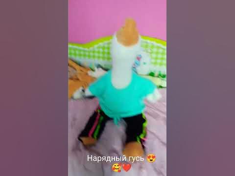 Нарядный гусь🥰😍 на подписчиков подписываюсь! 😊 - YouTube