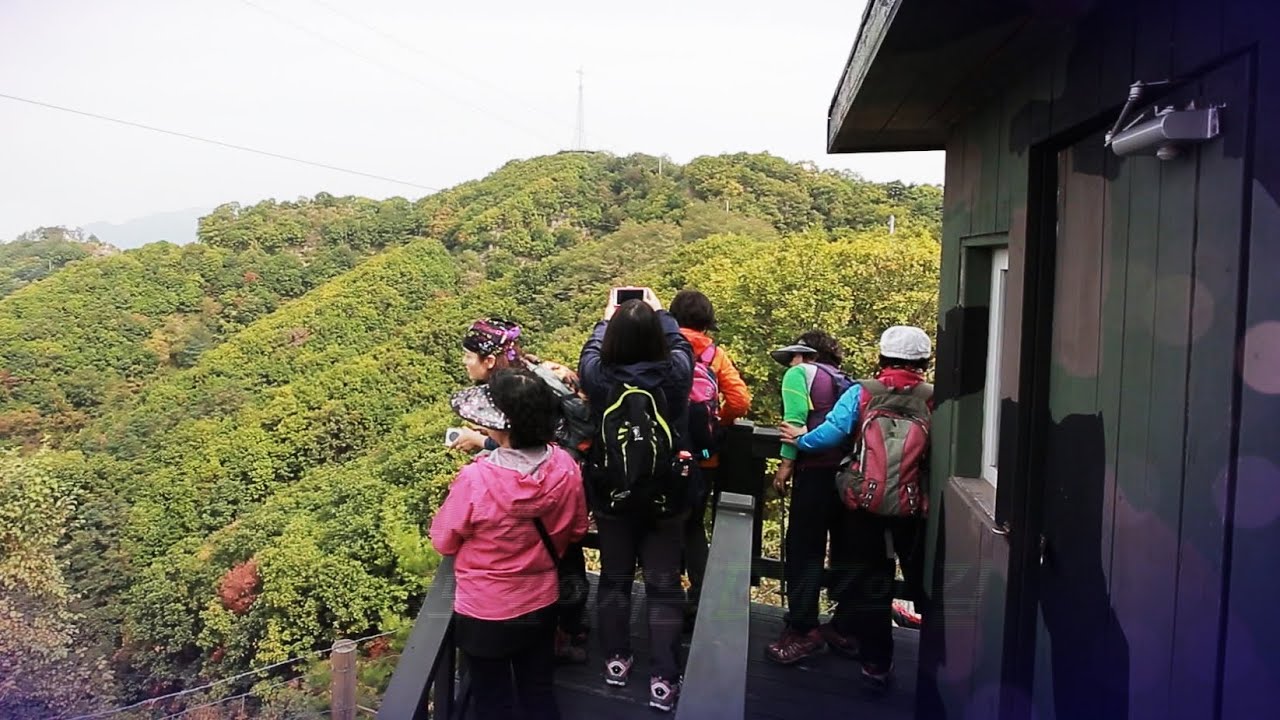 [zoom in DMZ] 가을로 물든 DMZ 삼색 길 - YouTube