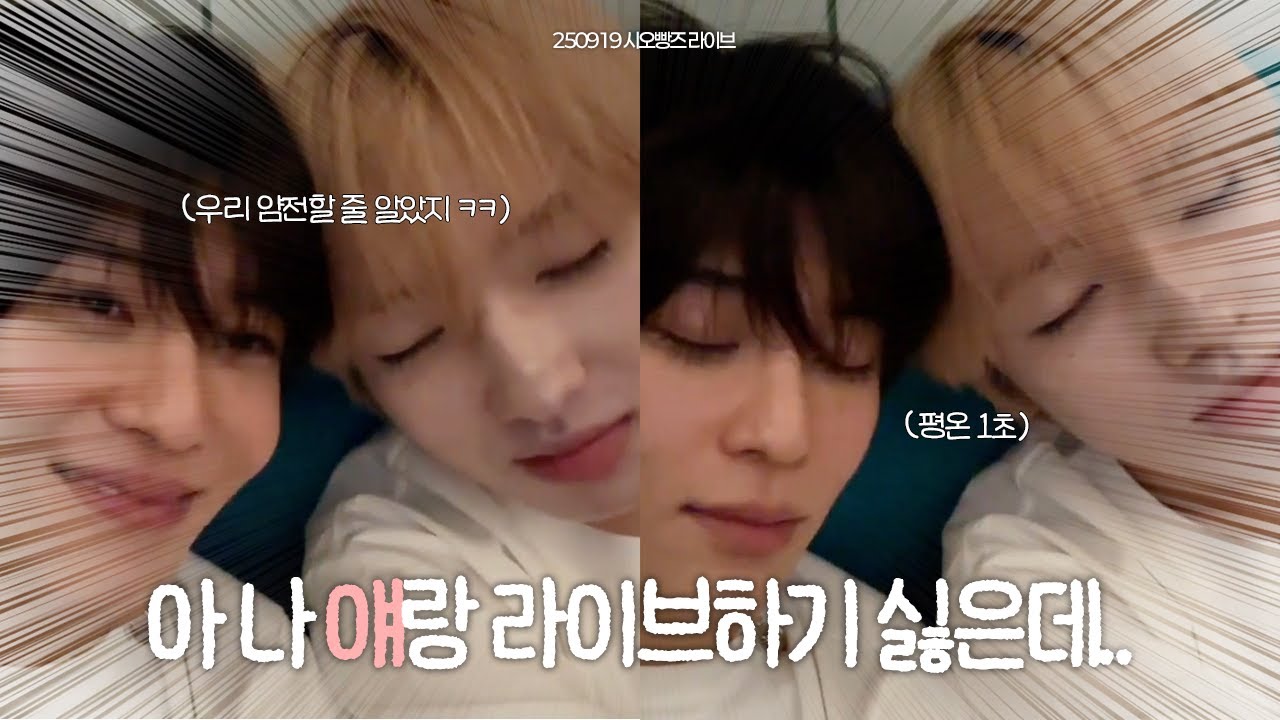 [엔시티위시/시온&사쿠야] 쫄? 긁? 쫄고 긁히는 창과 창의 대결 | 250919 위버스 라이브 하이라이트