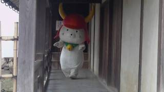 【ひこにゃん】20100409、おうちへお引き上げ