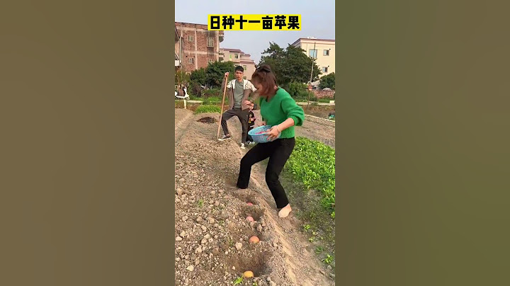 日种十亩苹果，就是有点费脚#搞笑影片 #搞笑 #搞笑夫妻 #shorts