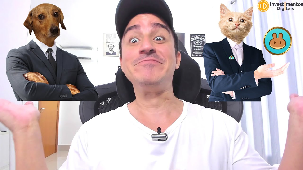 Depois Vira Lata Finance $REAU, Agora Tem Meme Gatinho Finance $MIAU