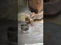 Mera Desh Rangeela Traditional Water Mill Atta Chakki In Kishtwar Rural Village Of Sarthal Mera Desh Rangeela Traditional Water Mill Atta Chakki In Kishtwar Rural Village Of Sarthal