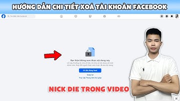 Share Tut Dame Facebook Bay Chỉ Bằng Giây | Hướng Dẫn Chi Tiết Mới Nhất 2025