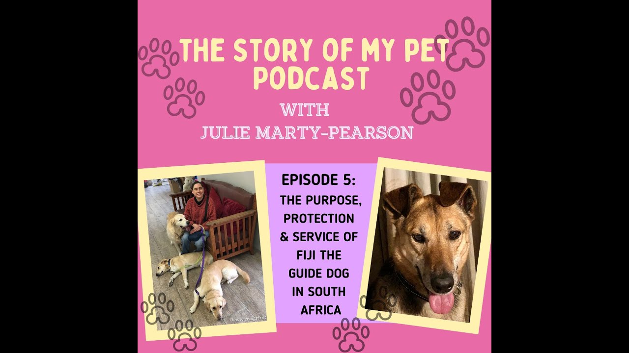 Fiji the Guide Dog and Her Family | The Story of My Pet