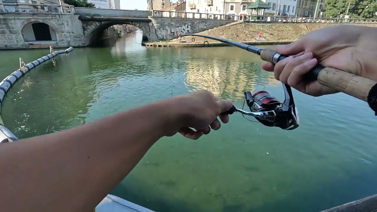 Fishing at Milano Darsena del Naviglio