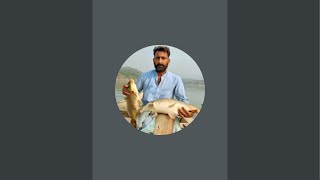 Wasil Fish Hunter  is live!