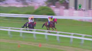 31ST  MAY 2026 RACE 3