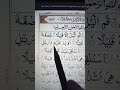 Beautiful Recitation of Quran | Surah Muzzamil#egzonibrahimi #duet #shortsviral #shortsstatus #fyp