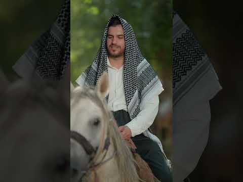 Rekaft Ali Kelesho Cover