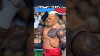 POV WRESTLEMANIA 40 ending 😂 #wwetoys #stopmotion #wwe #wwefigures #comedy #funny #joke #picfed