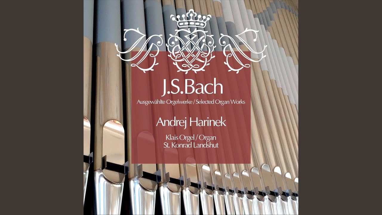 Liebster Jesu, wir sind hier, BWV 731