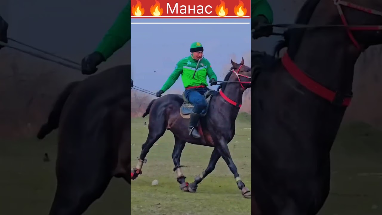 #кокбору #horse #аламанулак