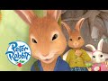 Peter Rabbit - Cottontail&#39;s Birthday Surprise 🎂 | Cartoons for Kids