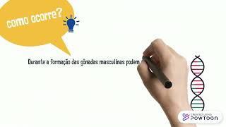 Pseudo-Hermafroditismo