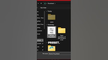 How to Import PRESETS in Adobe Premiere Pro