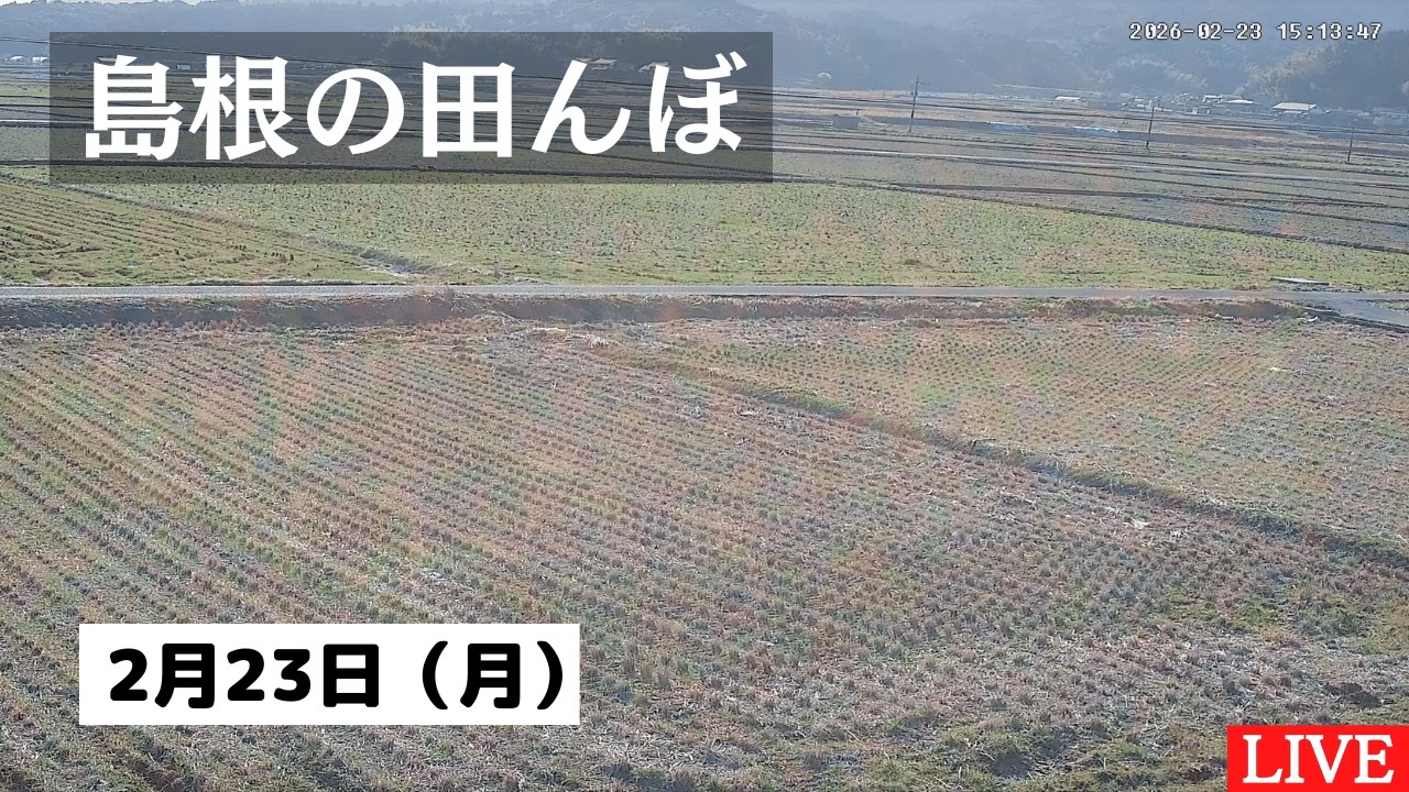 【2026/2/23】田んぼの様子をライブ配信！２４時間いつでも確認できます！｜自然 田舎 緑 癒し 島根県 八なお米穀店（はなお）