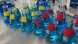 Celebrity Lab 3O - Adsorption Lab Wealth