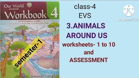 class-4#EVS# 3.Animals Around Us #All worksheets & Assessment#semester-1