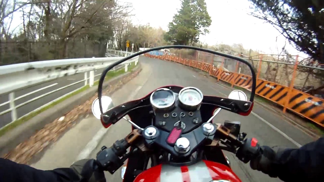I drove around the neighborhood loudly explaining the Snake Motors