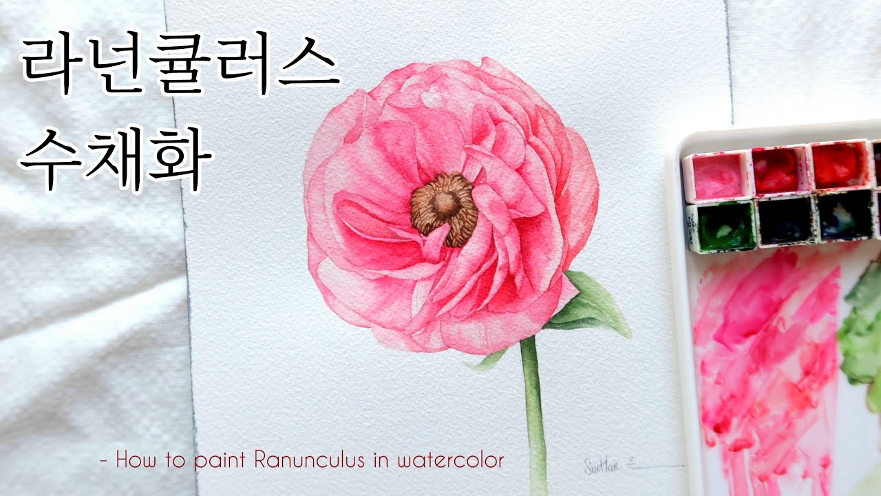 [ENG]라넌큘러스 수채화🌸 복잡한 꽃 그리기 How to paint watercolor Ranunculus YouTube