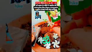 जो सावन के महीनेमें subscribe like,share,comments करेगा उनका सभी काम बनेंगे? shortsvideosubscribe