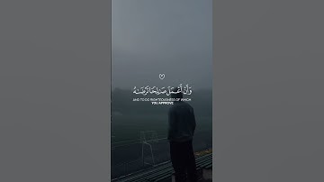 اكتب شيء تؤجر عليه | سوره النمل