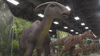 A Dino Adventure is coming to Watertown!