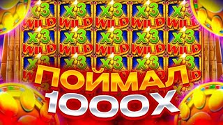 :     1000  CLEOCATRA!!!       800.000!!!