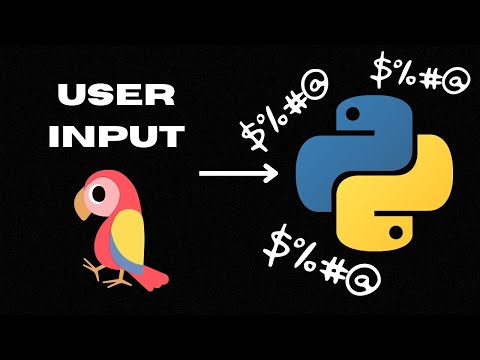 #5 Reading Input: Python's Interactive Twist