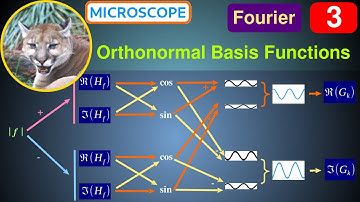 Fourier 3 - DFT Outputs, Basis Functions & Symmetries