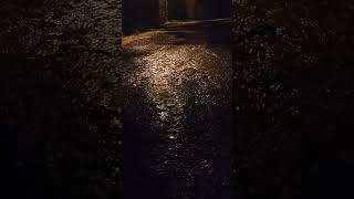 orage tres pluvieux a l'isle de noé dans le gers jeudi 30 avril 2026