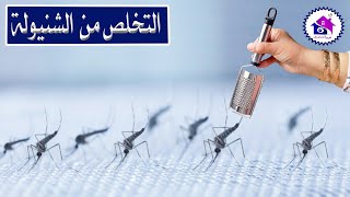 التخلص من البعوض (الشنيولة) - افكار منزلية بسيطة للقضاء على البعوضجربها بنفسك