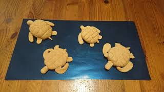 Hatchling Club: How To Make A Salt Dough Turtle