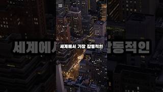 세계에서 가장 감동적인 성경 이야기 Top 5  #성경 #shorts
