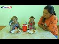 MONKEY KAKOMonkey Has Lunch | Adorable Kako And Baby Luna Eat Rice With Boiled Egg