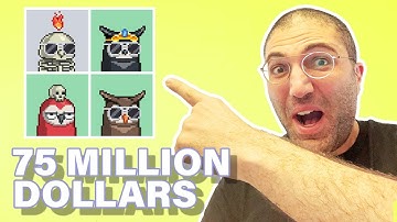 Moonbirds NFT - The Next Bored Ape Yacht Club?