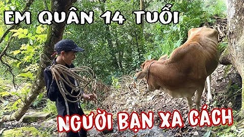 EM QUÂN 14 TUỔI CÔ ĐƠN TRONG RỪNG.BẤT NGỜ ! NGƯỜI BỐ NGHIỆN QUAY VỀ NHÀ QUYẾT ĐỊNH ĐI LẤY CON BÒ VỀ.