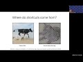 Shortcut Learning for Medical AI: Opportunity or Threat - Judy Gichoya @ DSFSI & AfriDSAI, UP
